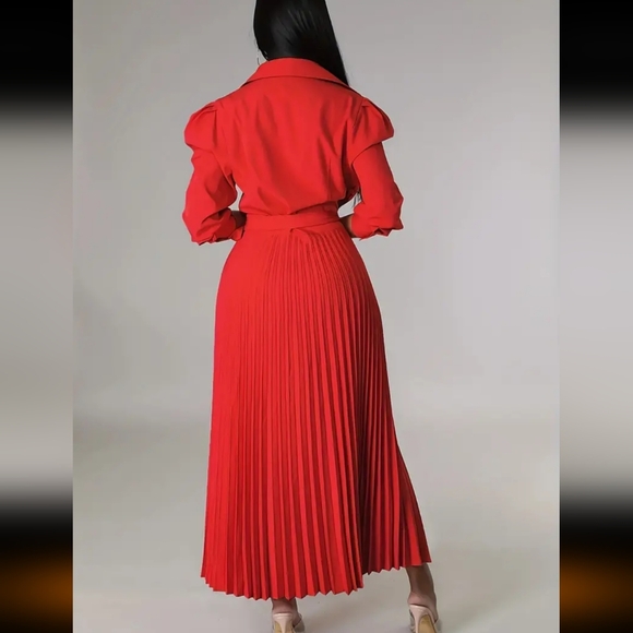 Gorgeous Pleated Dress - Picture 3 of 3